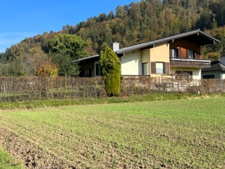 Ein Bild, das Gras, drauen, Baum, Haus enthlt.

Automatisch generierte Beschreibung