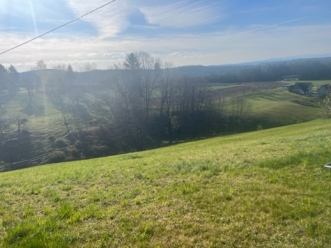 Ein Bild, das Gras, Himmel, drauen, Feld enthlt.

Automatisch generierte Beschreibung