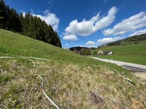 Ein Bild, das Gras, Himmel, drauen, Natur enthlt.

Automatisch generierte Beschreibung