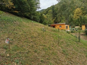 Ein Bild, das Gras, drauen, Baum, Feld enthlt.

Automatisch generierte Beschreibung