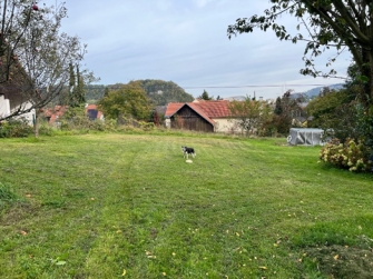 Ein Bild, das Gras, drauen, Baum, Himmel enthlt.

Automatisch generierte Beschreibung